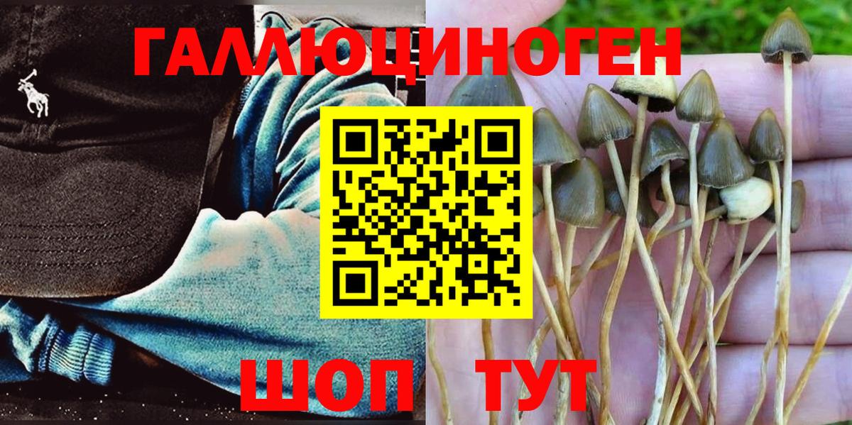 Псилоцибиновые грибы Magic Shrooms Ишим